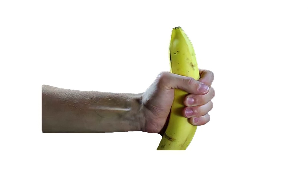 آناتومی آلت