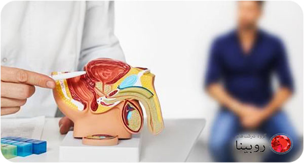اختلال نعوظ چیست | علل، علائم، پیشگیری و روش درمان نعوظ 4 اختلال نعوظ یا عدم نعوظ