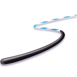 گایدوایر زبرا